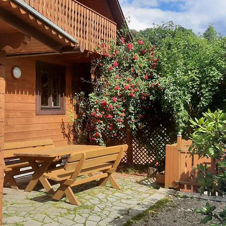 Chata Gorska Sowa Dla 12 Osob, 4 Sypialnie,Salon Z Kominkiem Villa Podgórzyn Kültér fotó