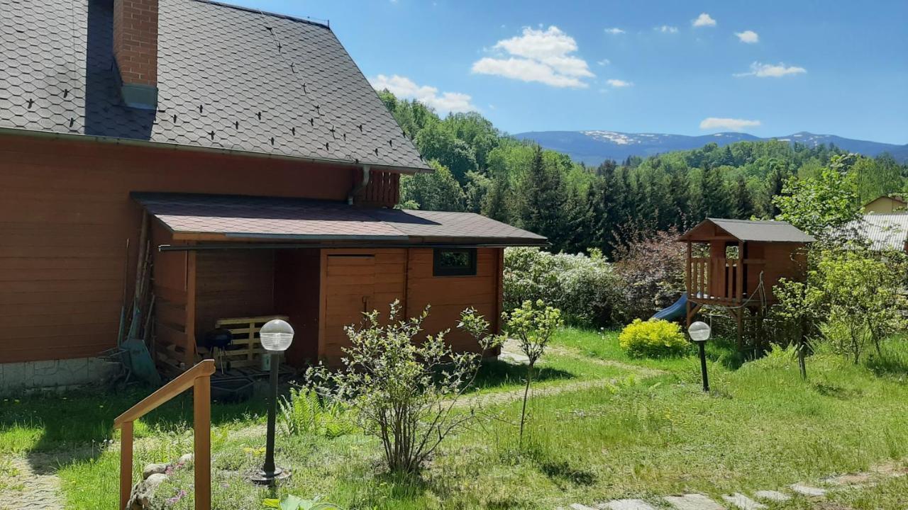 Chata Gorska Sowa Dla 12 Osob, 4 Sypialnie,Salon Z Kominkiem Villa Podgórzyn Kültér fotó