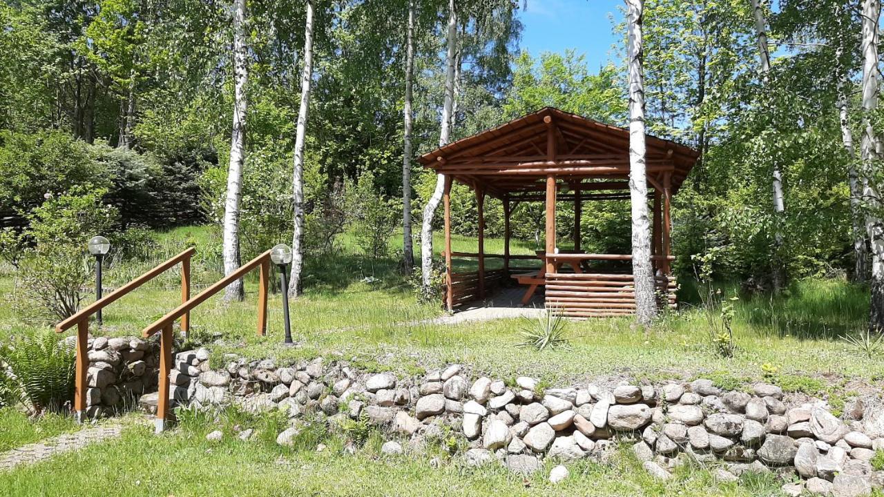 Chata Gorska Sowa Dla 12 Osob, 4 Sypialnie,Salon Z Kominkiem Villa Podgórzyn Kültér fotó