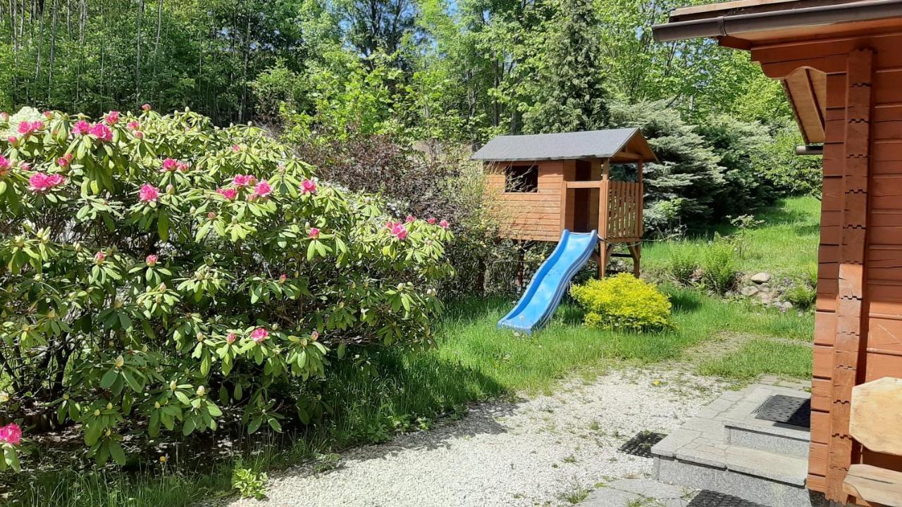 Chata Gorska Sowa Dla 12 Osob, 4 Sypialnie,Salon Z Kominkiem Villa Podgórzyn Kültér fotó