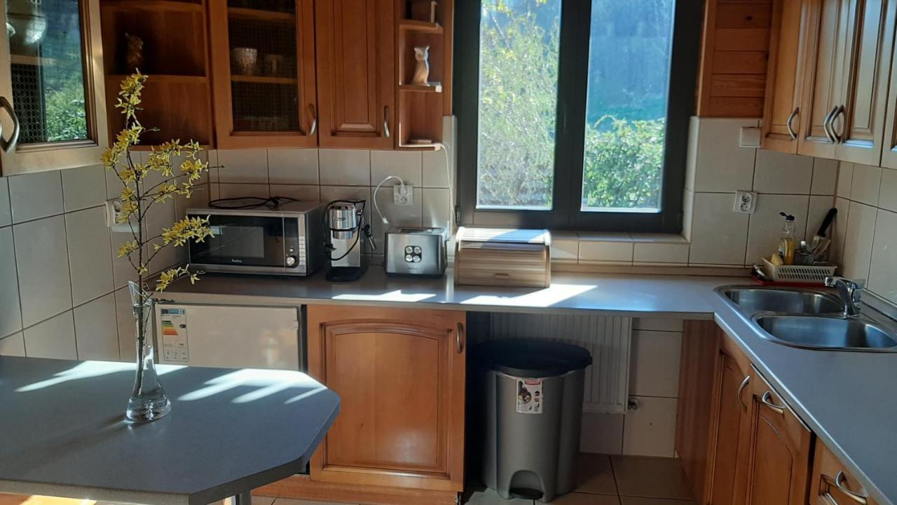 Chata Gorska Sowa Dla 12 Osob, 4 Sypialnie,Salon Z Kominkiem Villa Podgórzyn Kültér fotó